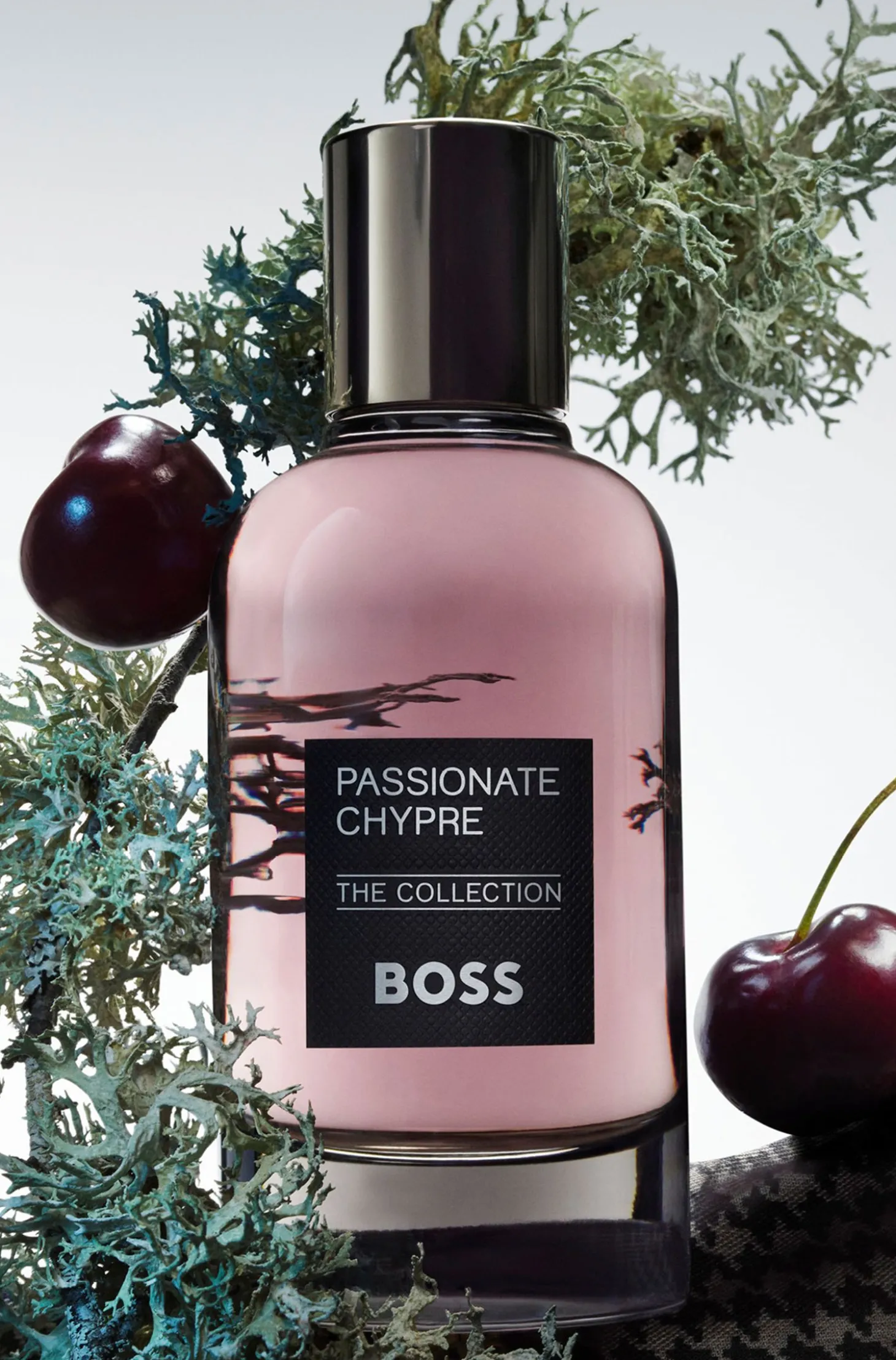 BOSS The Collection Passionate Chypre Eau de Parfum 100 ml
