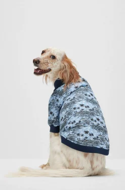 Hunde-Bomberjacke