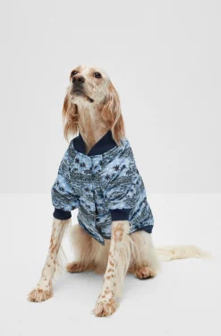 Hunde-Bomberjacke