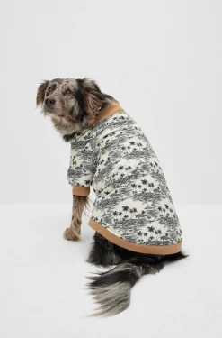Hunde-Bomberjacke
