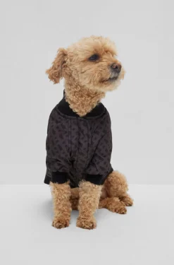 Hunde-Bomberjacke