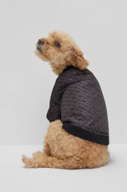 Hunde-Bomberjacke