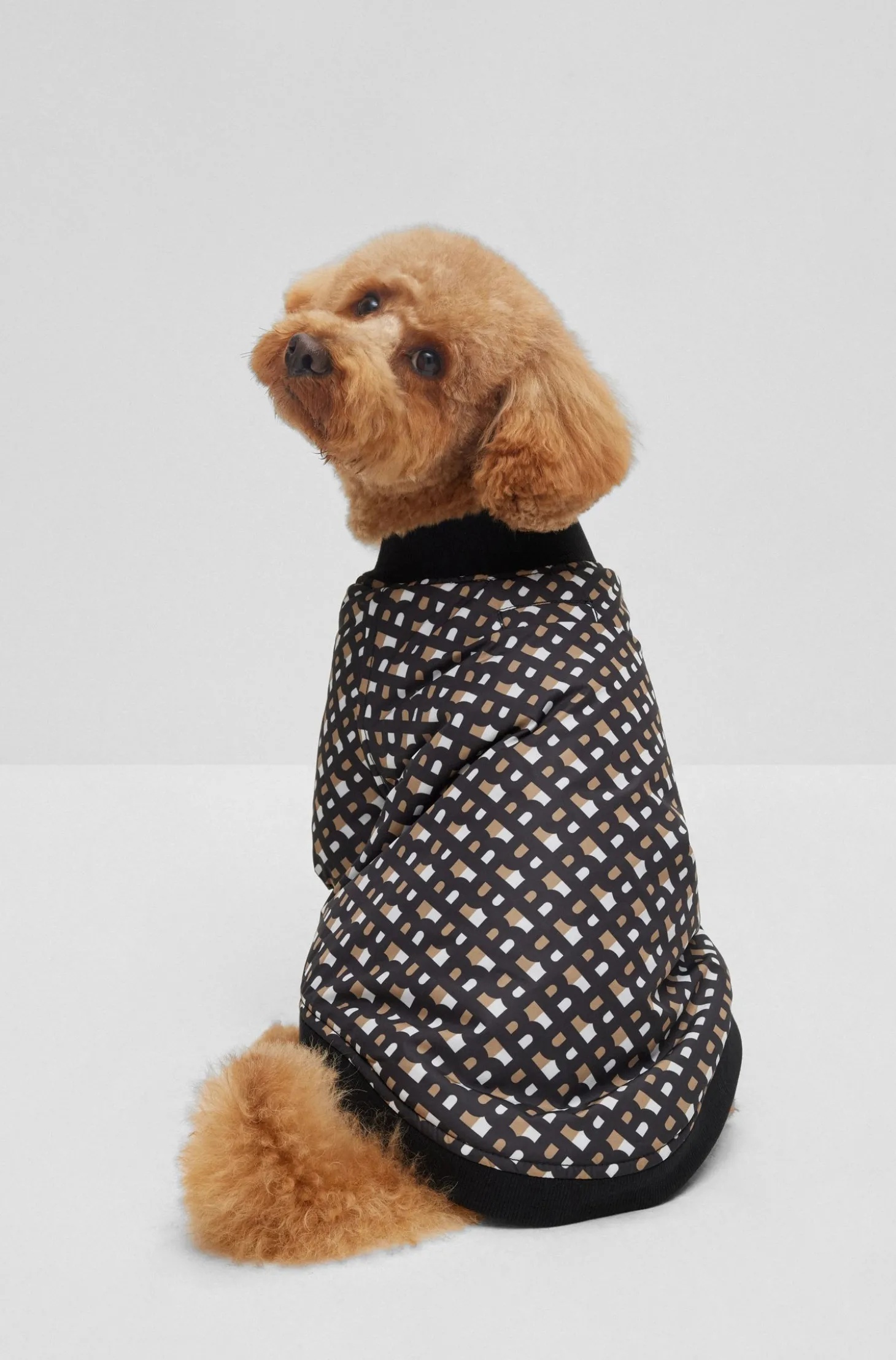 Hunde-Bomberjacke