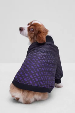 Hunde-Bomberjacke mit Dégradé-Monogrammen