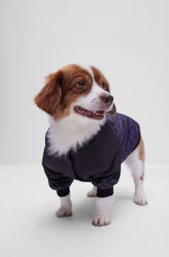 Hunde-Bomberjacke mit Dégradé-Monogrammen