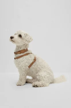 Hunde-Geschirr aus recyceltem Leder