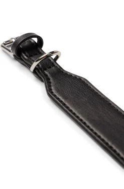 Hunde-Halsband aus recyceltem Leder