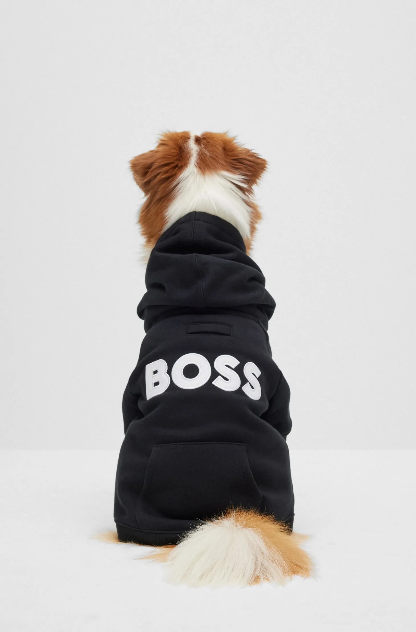 Hunde-Hoodie aus Baumwoll-Mix mit Kontrast-Logo