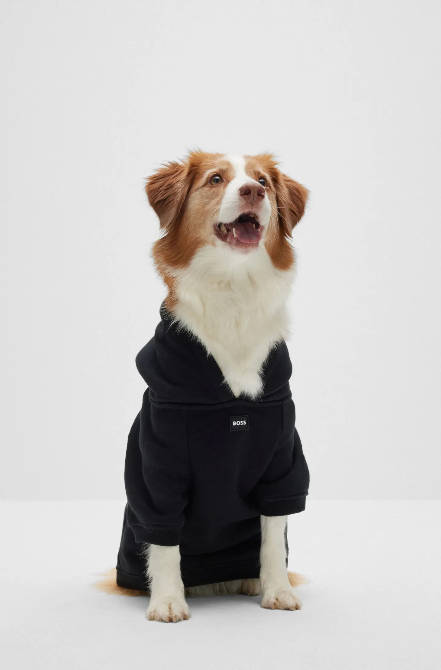 Hunde-Hoodie aus Baumwoll-Mix mit Kontrast-Logo
