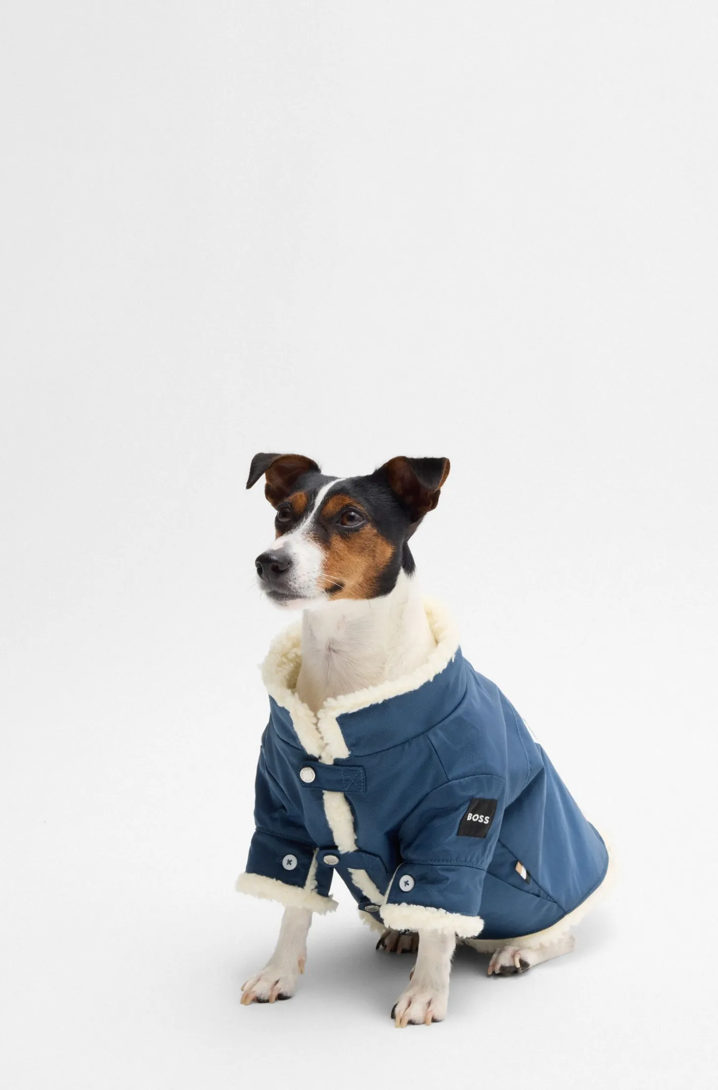 Hunde-Parka mit kontrastfarbenem Logo