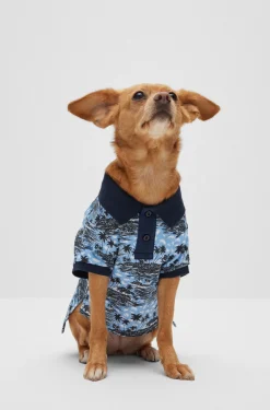 Hunde-Poloshirt aus Baumwolle mit Palmen-Print