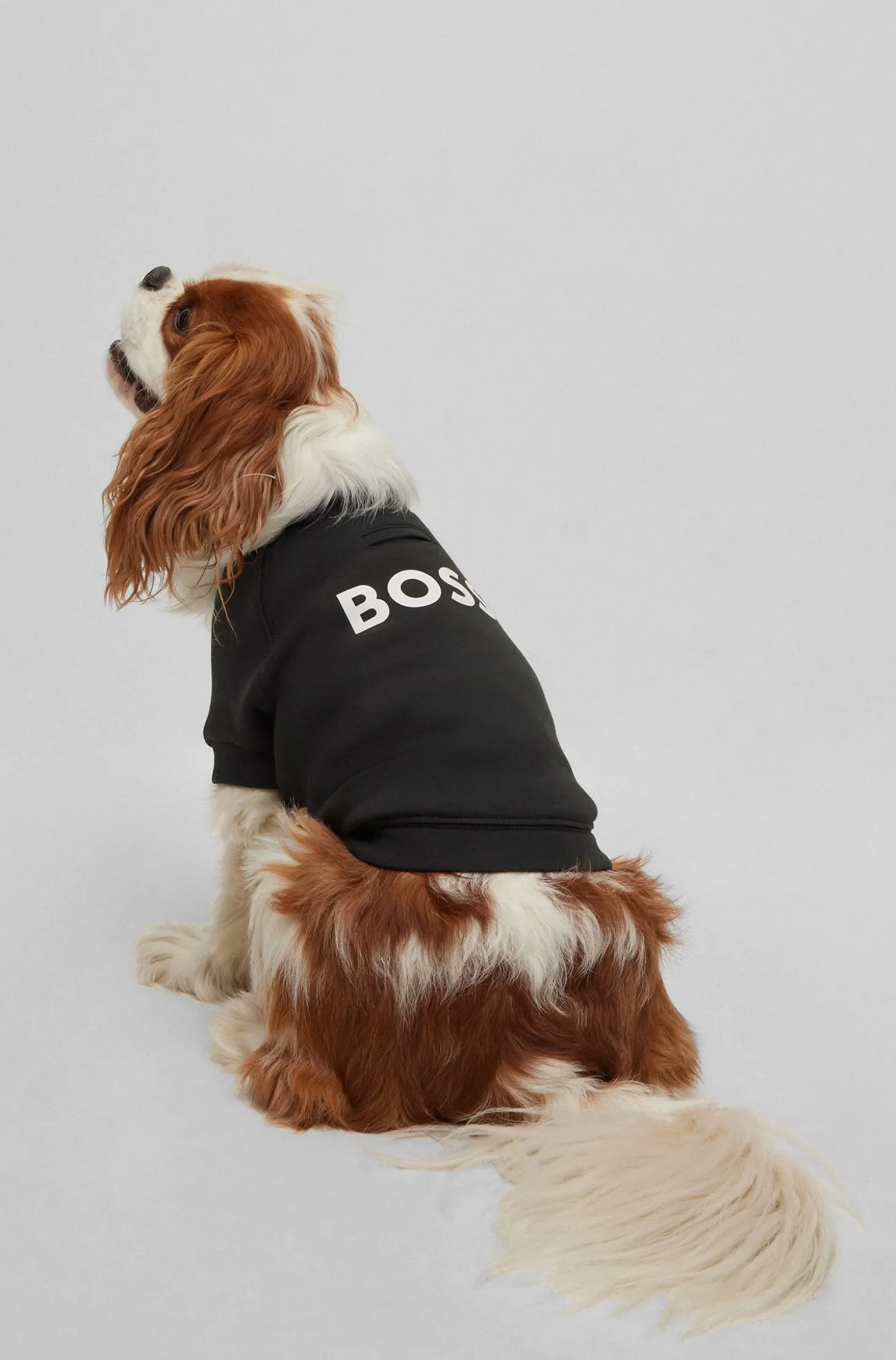 Hundepullover aus Baumwoll-Mix