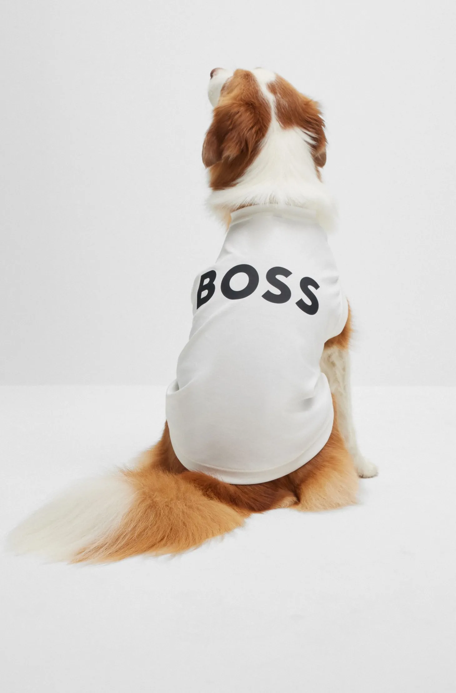 Hunde-T-Shirt aus merzerisierter Baumwolle mit Kontrast-Logo