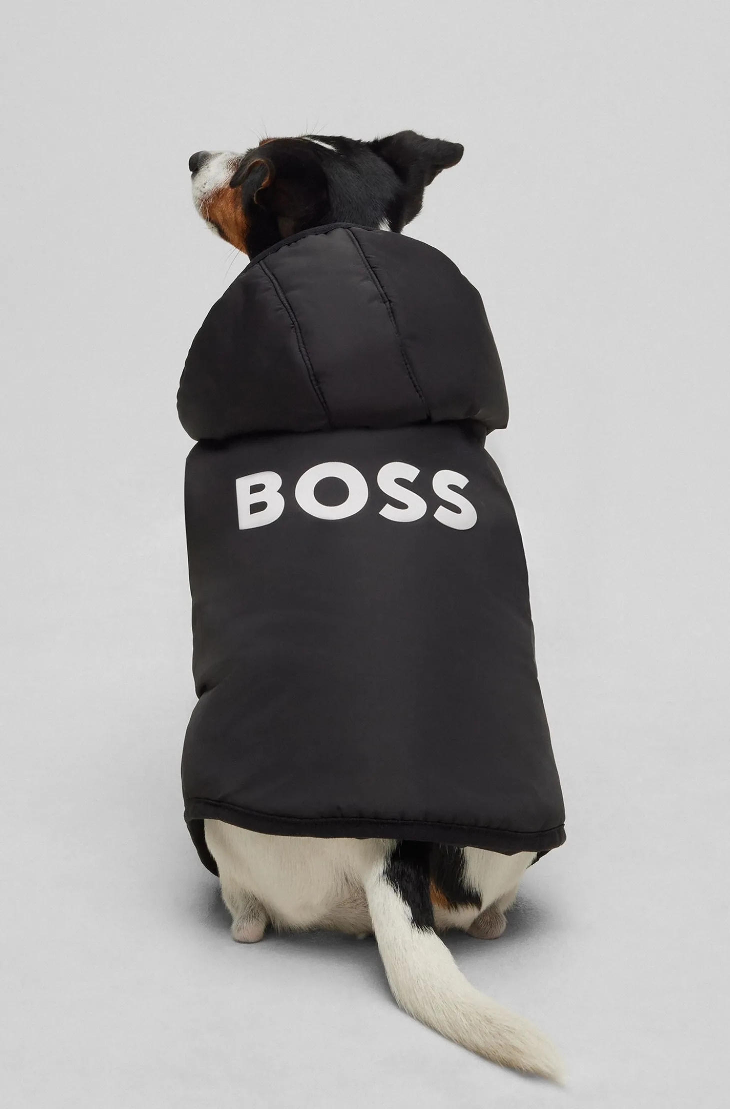 Leichte Hundejacke mit Logo-Details