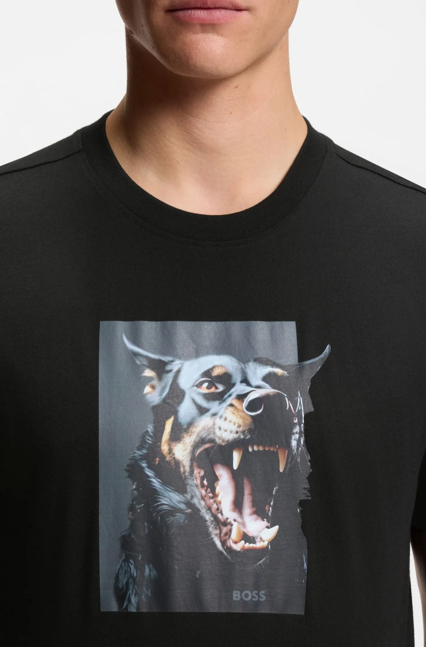 T-Shirt aus Baumwoll-Jersey mit Tier-Artwork