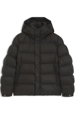 Wasserabweisende Steppjacke mit Kapuze und gepolstertem Kragen
