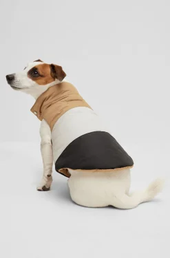 Wende-Steppjacke für Hunde