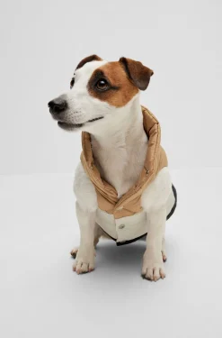 Wende-Steppjacke für Hunde